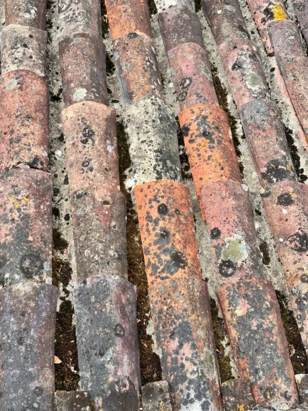 Rénovation de toiture, Royan, Jean Couverture