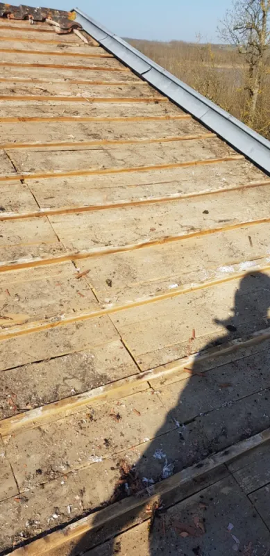 Couverture Merpins, Royan, Jean Couverture