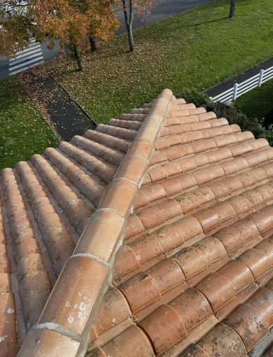 Entretien de toiture, démoussage et pose de produit Dalep à Tonnay Charente, Royan, Jean Couverture