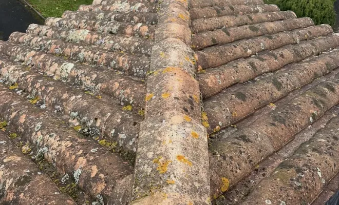 Entretien de toiture, démoussage et pose de produit Dalep à Tonnay Charente, Royan, Jean Couverture