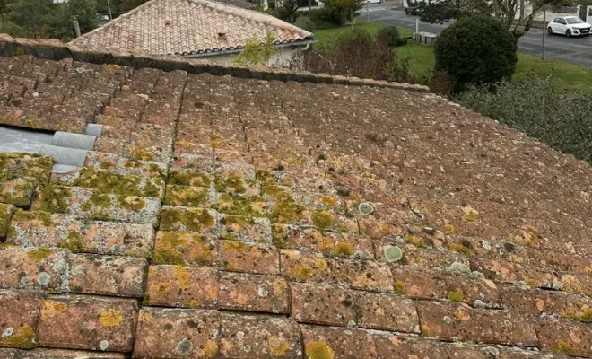 Entretien de toiture, démoussage et pose de produit Dalep à Tonnay Charente, Royan, Jean Couverture